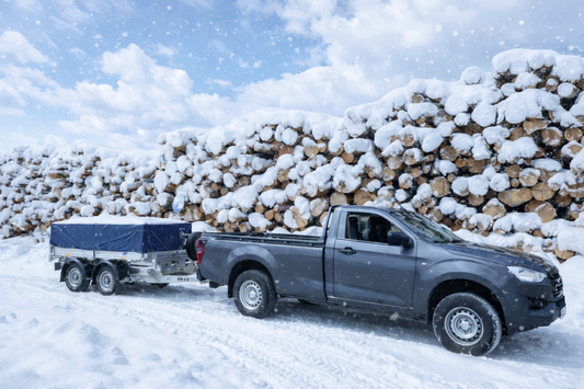 Is it going to snow? Or is it going to rain?