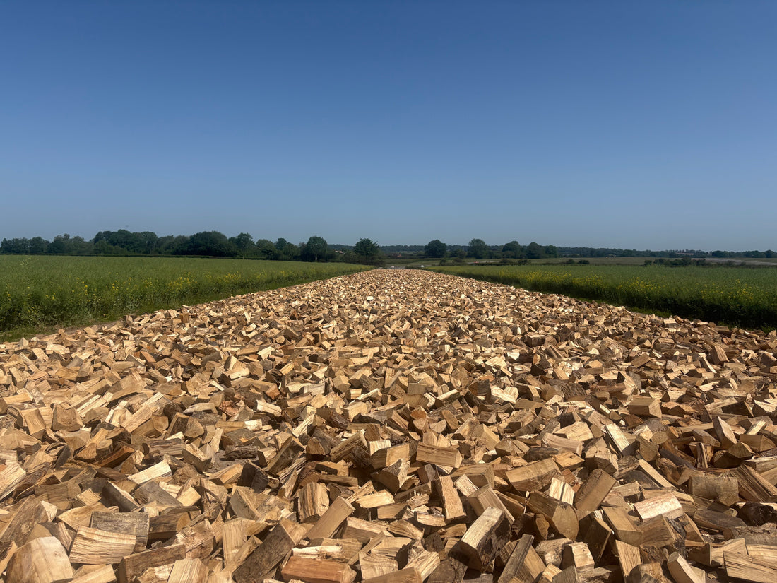 Where do the logs keep coming from?
