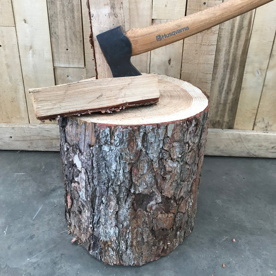 Log splitting tree stump with axe