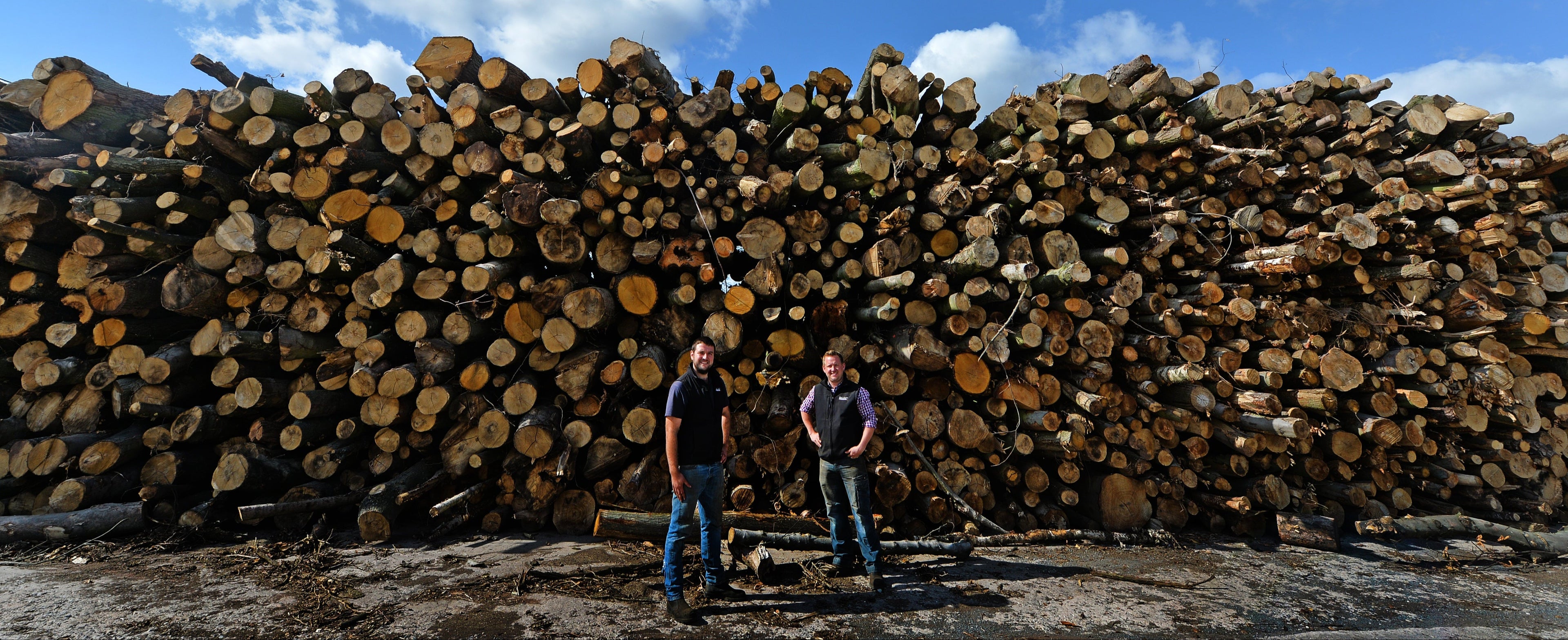 Two people standing in front of a large stack of logs with a blue sky in the background