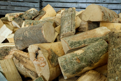 Barn dried ash logs sample