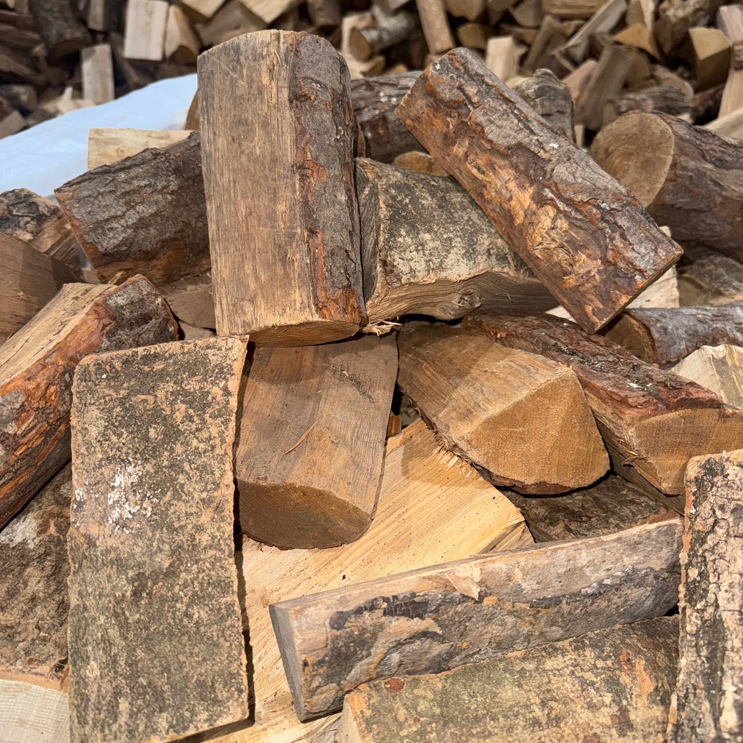 Sample of hobbit logs