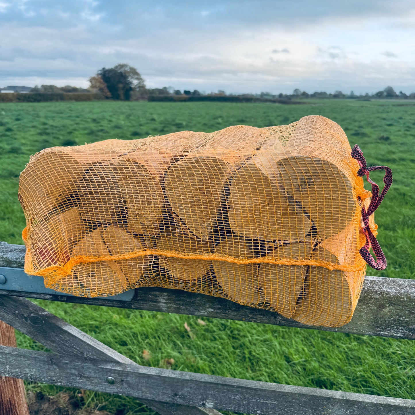 Netted - Kiln Dried - 100% Birch Logs