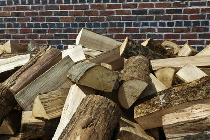 Sample of kiln dried ash logs loose