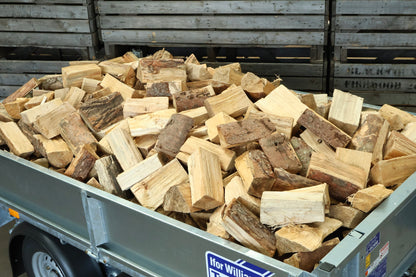 Trailer load of softwood logs 