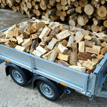 Trailer full of mixedwood logs