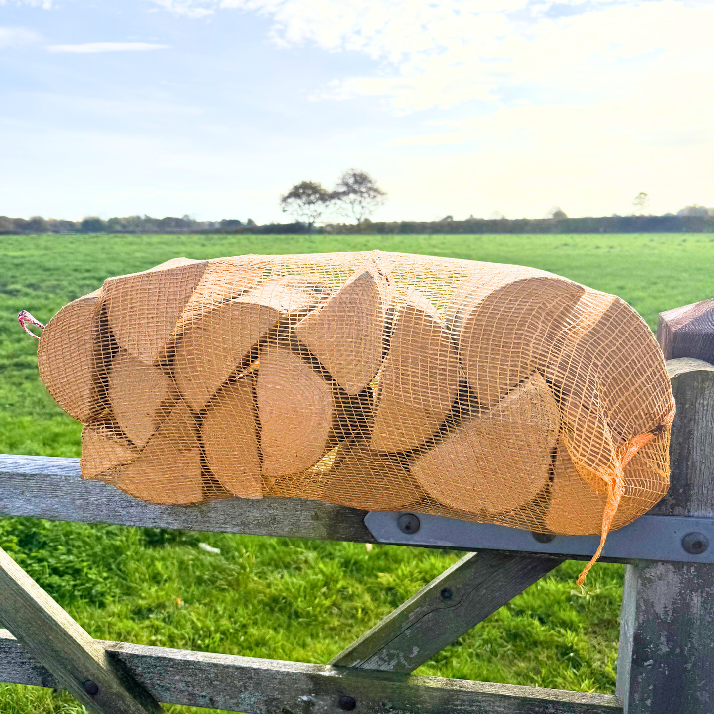 Netted kiln dried ash logs on a gate
