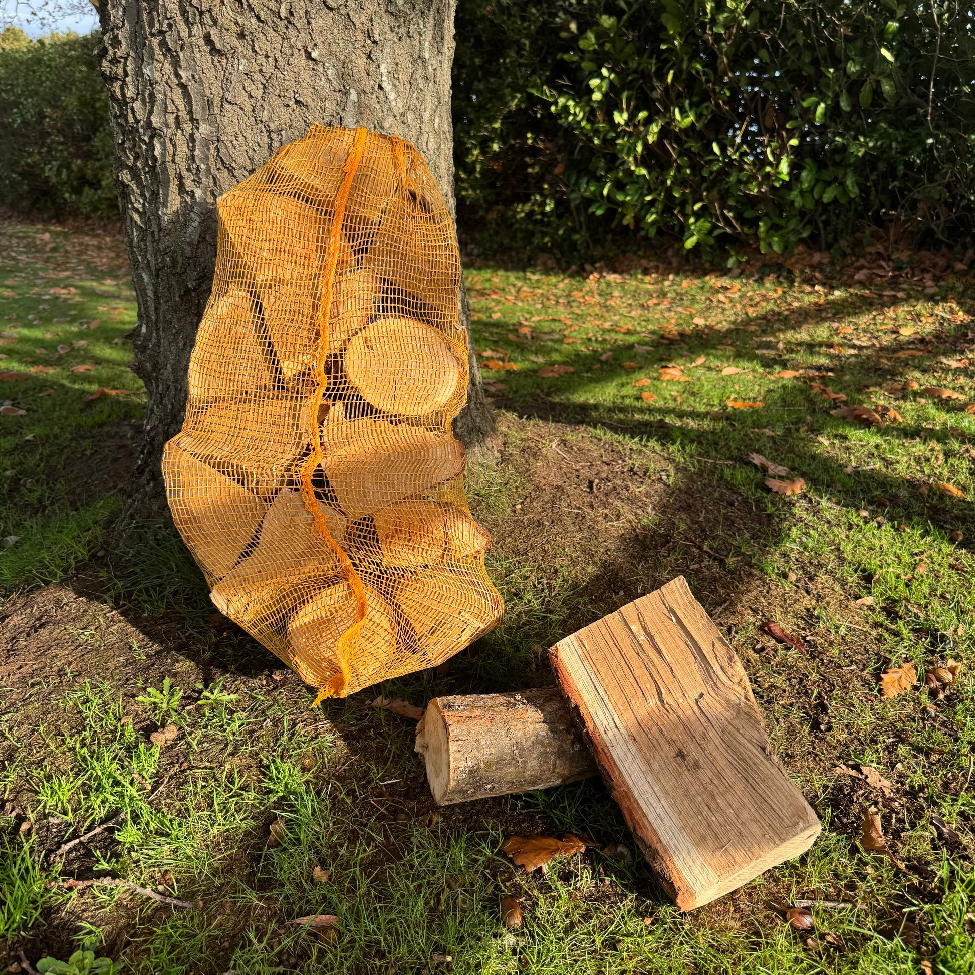 Netted kiln dried oak logs under oak tree