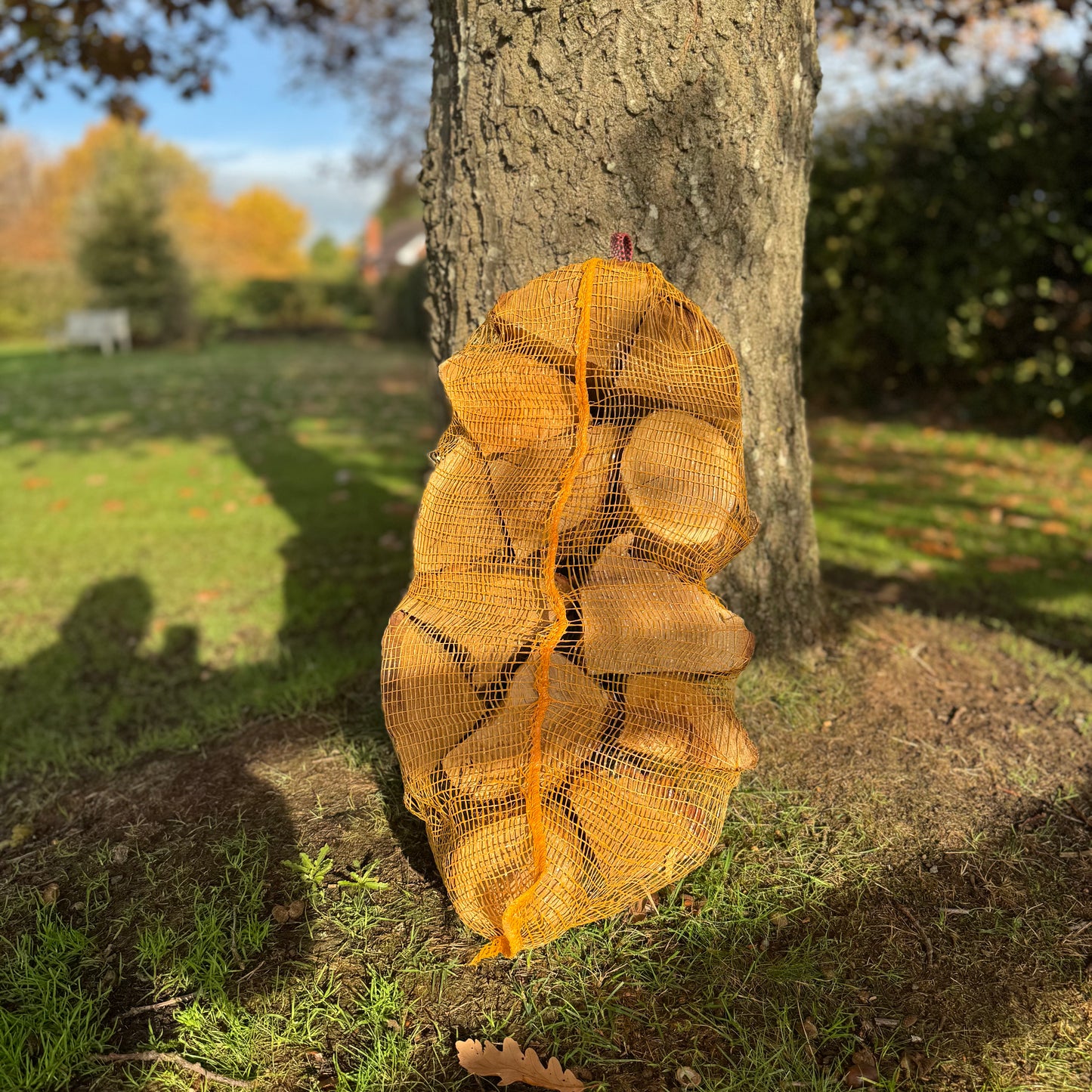 Netted kiln dried oak logs under a oak tree
